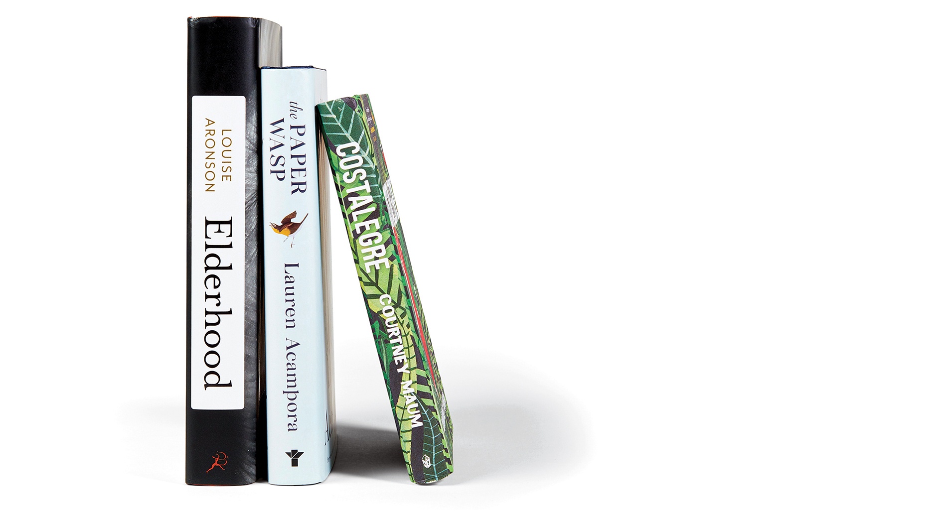 Costalegre by Courtney Maum &rsquo;01; Elderhood: Redefining Aging, Transforming Medicine, Reimagining Life by Louise Aronson &rsquo;86; and The Paper Wasp by Lauren Acampora &rsquo;97 